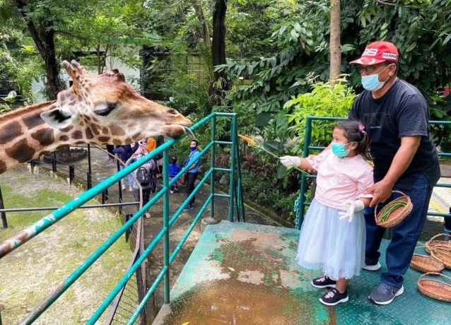 WhatsApp Image 2026-01-21 at 12.29.26