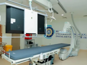 WhatsApp Image 2026-01-29 at 12.16.38 (1)