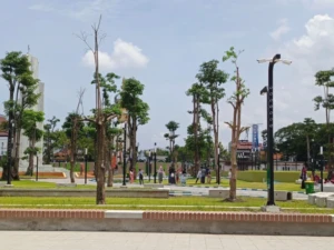 WhatsApp Image 2026-02-06 at 16.09.42