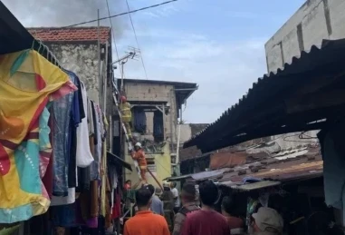 WhatsApp Image 2026-02-11 at 16.20.07