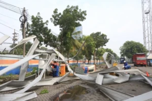 WhatsApp Image 2026-02-11 at 16.47.28