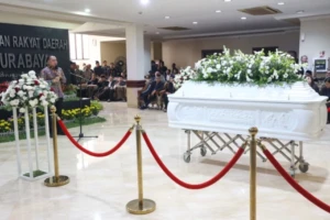 WhatsApp Image 2026-02-12 at 20.08.45