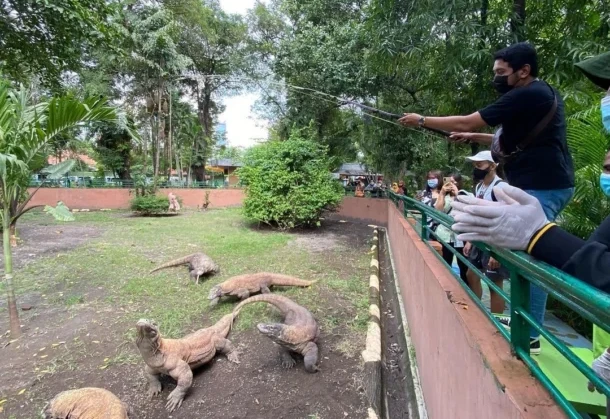 WhatsApp Image 2026-02-14 at 12.19.25