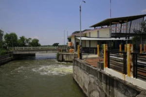 WhatsApp Image 2026-02-16 at 16.47.14