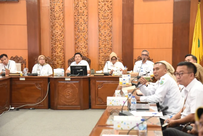 WhatsApp Image 2026-02-19 at 16.41.32