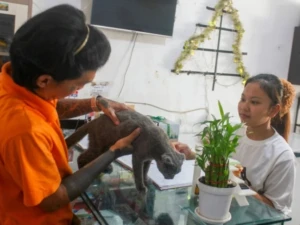 Gemini_Generated_Image_azvmerazvmerazvm