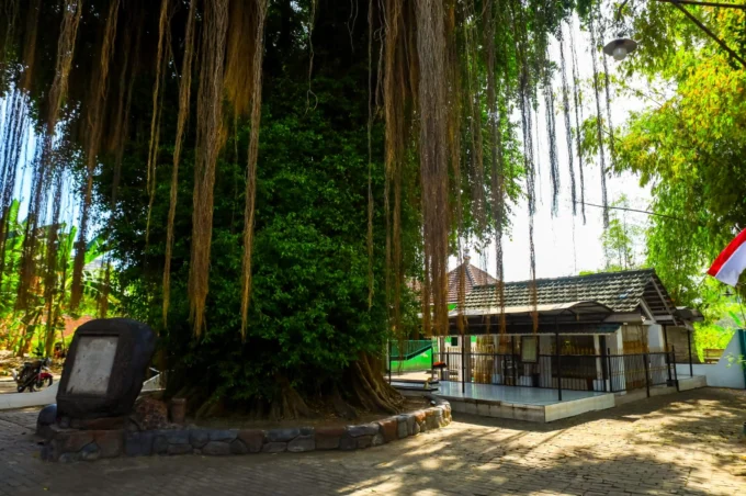 WhatsApp Image 2026-03-15 at 19.28.22 (1)