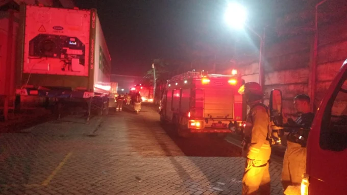 WhatsApp Image 2026-03-16 at 20.28.19