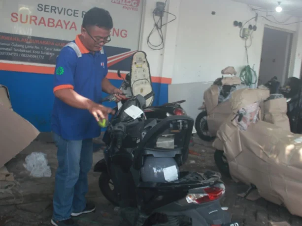 WhatsApp Image 2026-03-19 at 04.07.44