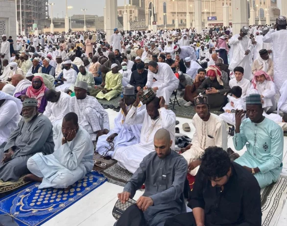 WhatsApp Image 2026-03-20 at 15.37.07