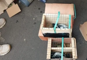 WhatsApp Image 2026-03-21 at 17.02.57