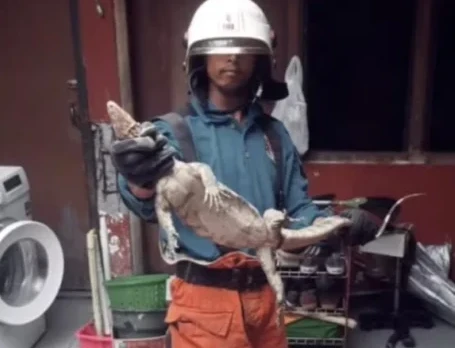 WhatsApp Image 2026-03-28 at 15.27.51