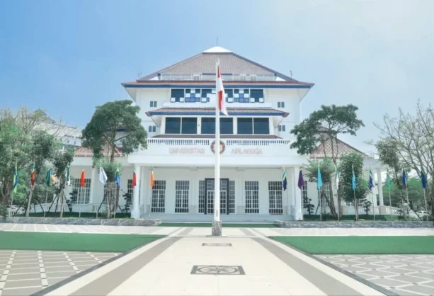 WhatsApp Image 2026-03-29 at 08.50.23