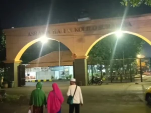 WhatsApp Image 2026-03-31 at 12.18.01 (1)