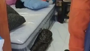 WhatsApp Image 2026-03-31 at 18.42.18