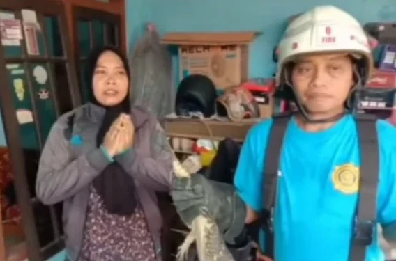 WhatsApp Image 2026-04-09 at 23.05.14