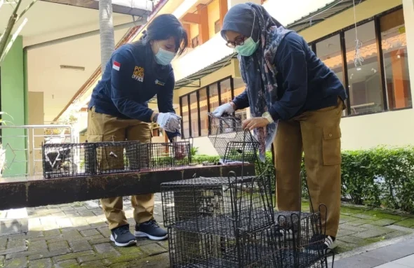 WhatsApp Image 2026-04-15 at 16.31.36