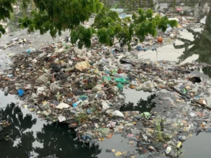 WhatsApp Image 2026-04-22 at 19.55.12